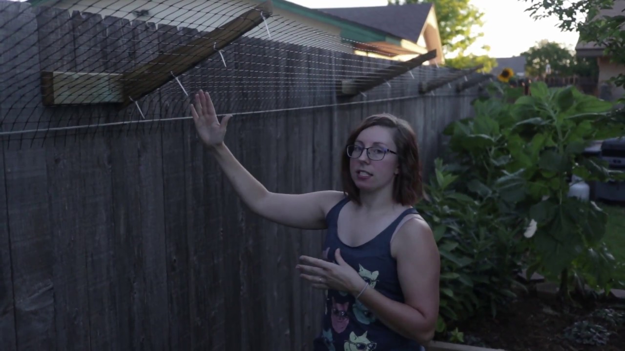 Our Cat Fence