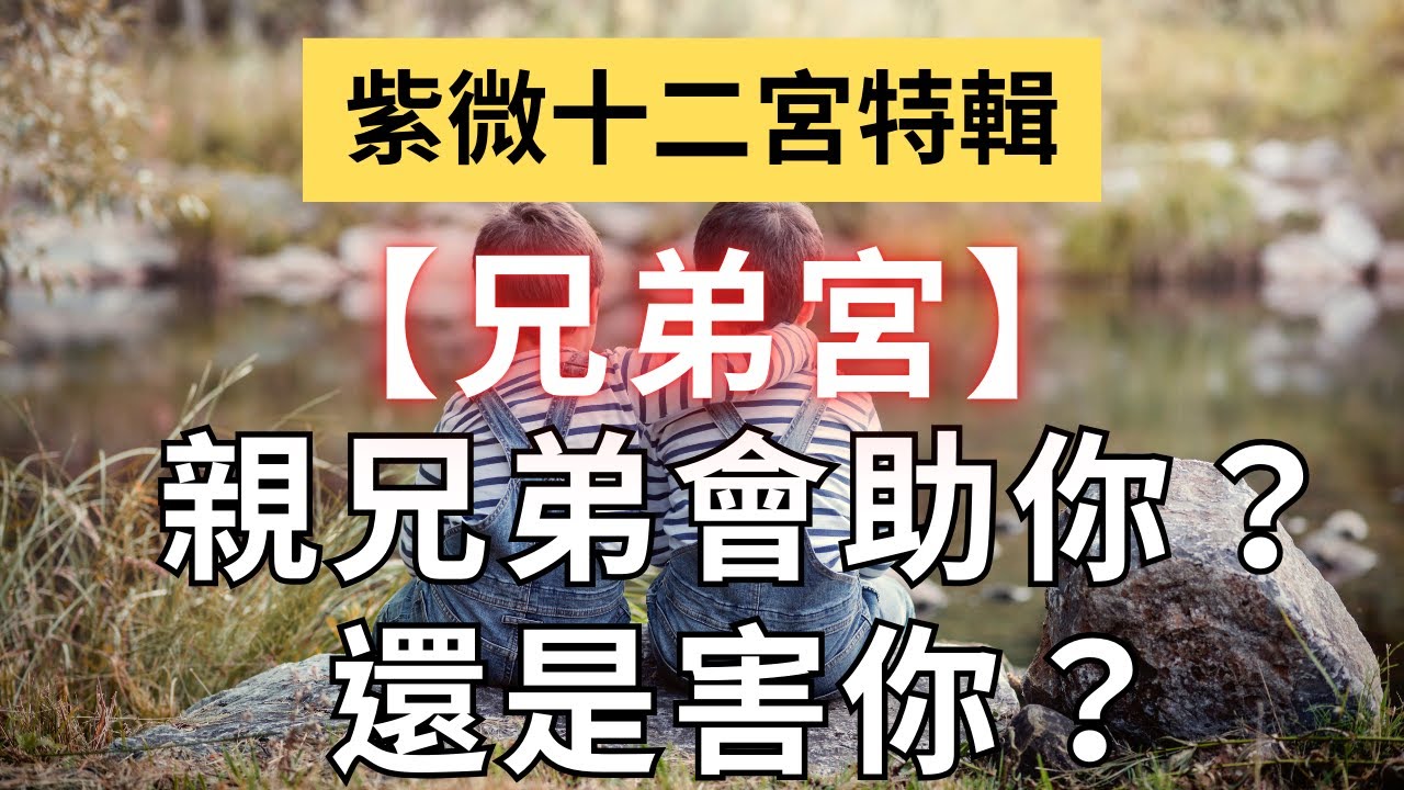 紫微十二宮之【兄弟宮】看親兄弟是助你？還是害你？麥可大叔30年紫微斗數算命命理老師