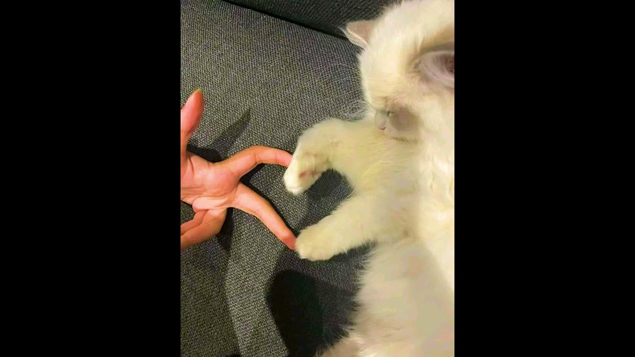 No Me Dejes Solo - Speed up