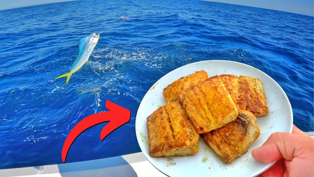 PESQUEI e PREPAREI no barco! Pesca em alto mar | Dicas - Catch clean cook