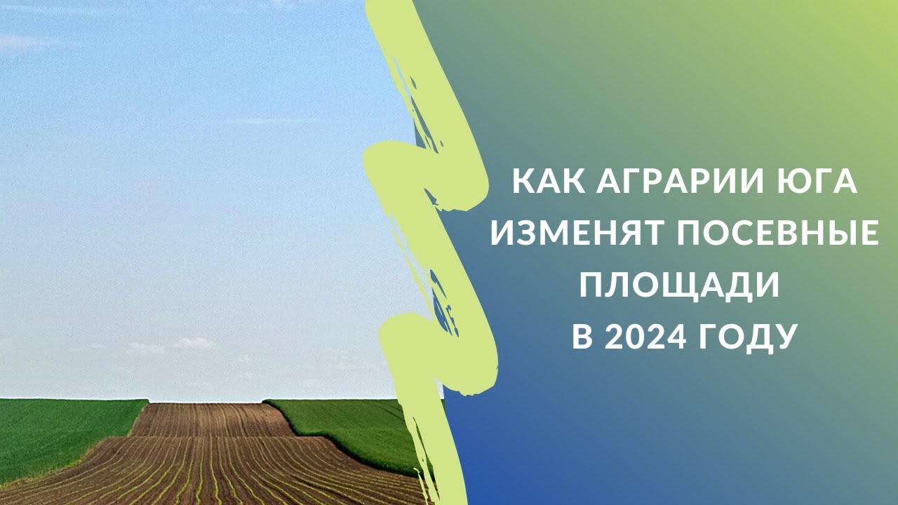Подсолнечник сократить, нут - увеличить: как аграрии юга изменят посевные площади #словоаграрию