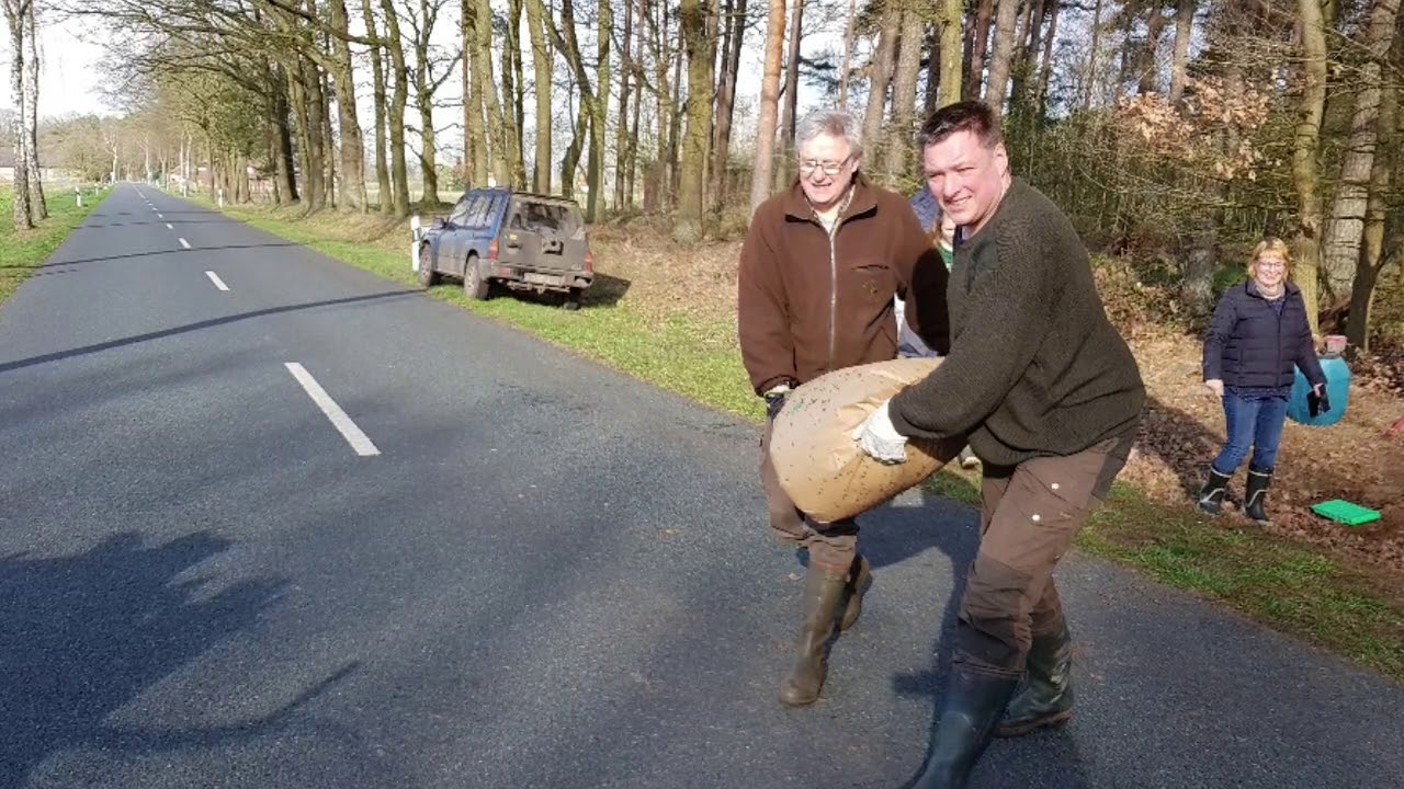 Ameisen umsiedeln