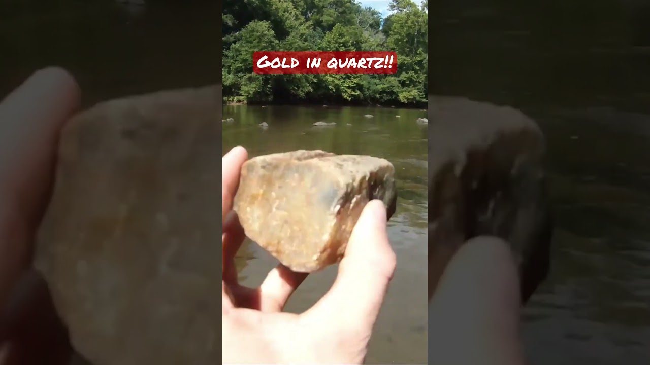 Золото в кварце!! #золото #золотаялихорадка #кварц #геология #золотодобыча #поиски камней