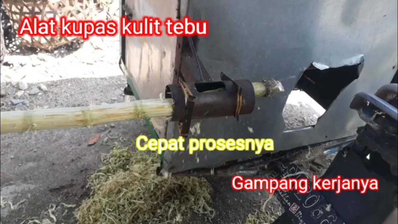 Alat kupas tebu...cepat prosesnya ... Gampang kerjanya...