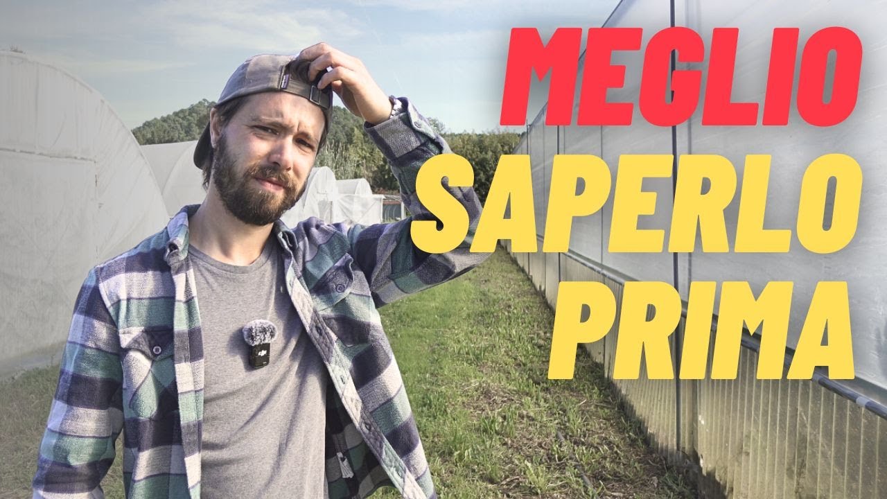 5 COSE CHE AVREI VOLUTO SAPERE PRIMA DI AVVIARE LA MIA AZIENDA AGRICOLA .