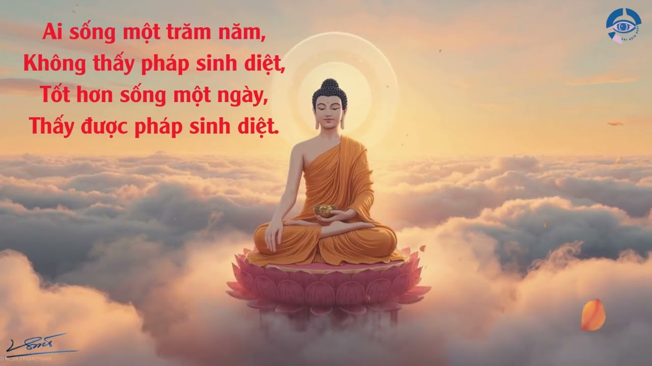 Một ngày tỉnh thức thấy vô thường đáng giá hơn trăm năm lầm ngủ
