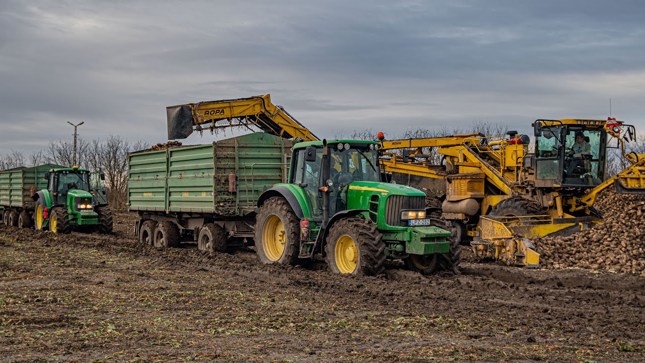 Sugar Beet Transport in MUD 