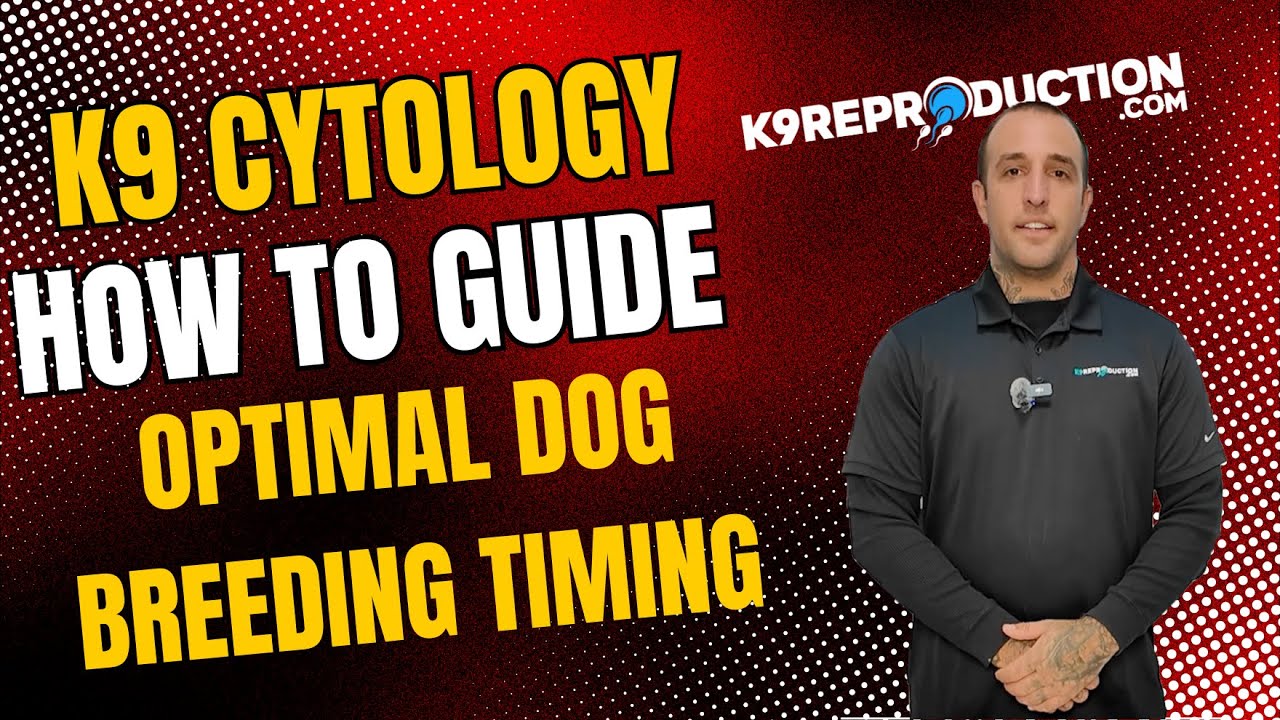 Canine Vaginal Cytology: Step-by-Step Guide for Optimal Dog Breeding Timing | Hoak Labs Kit Overview