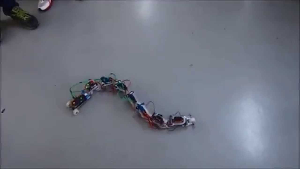 Snake Robot with Passive Wheels and Wireless Control