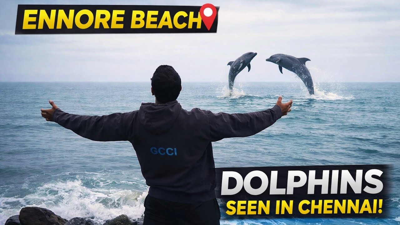 Dolphins Near Chennai ?! 🐬 | Ennore Beach Vlog You Must Watch