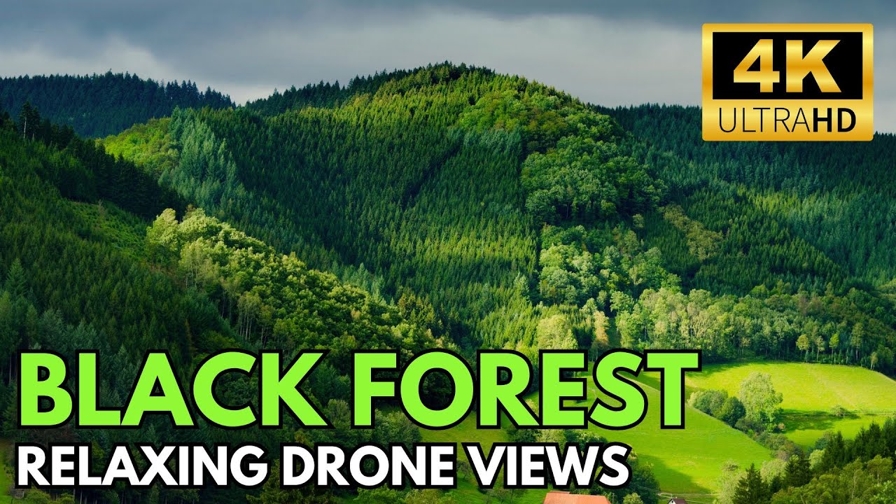 BLACK FOREST - GERMANY (4K) | Relaxing Drone Views | #travel #explore #germany #drone