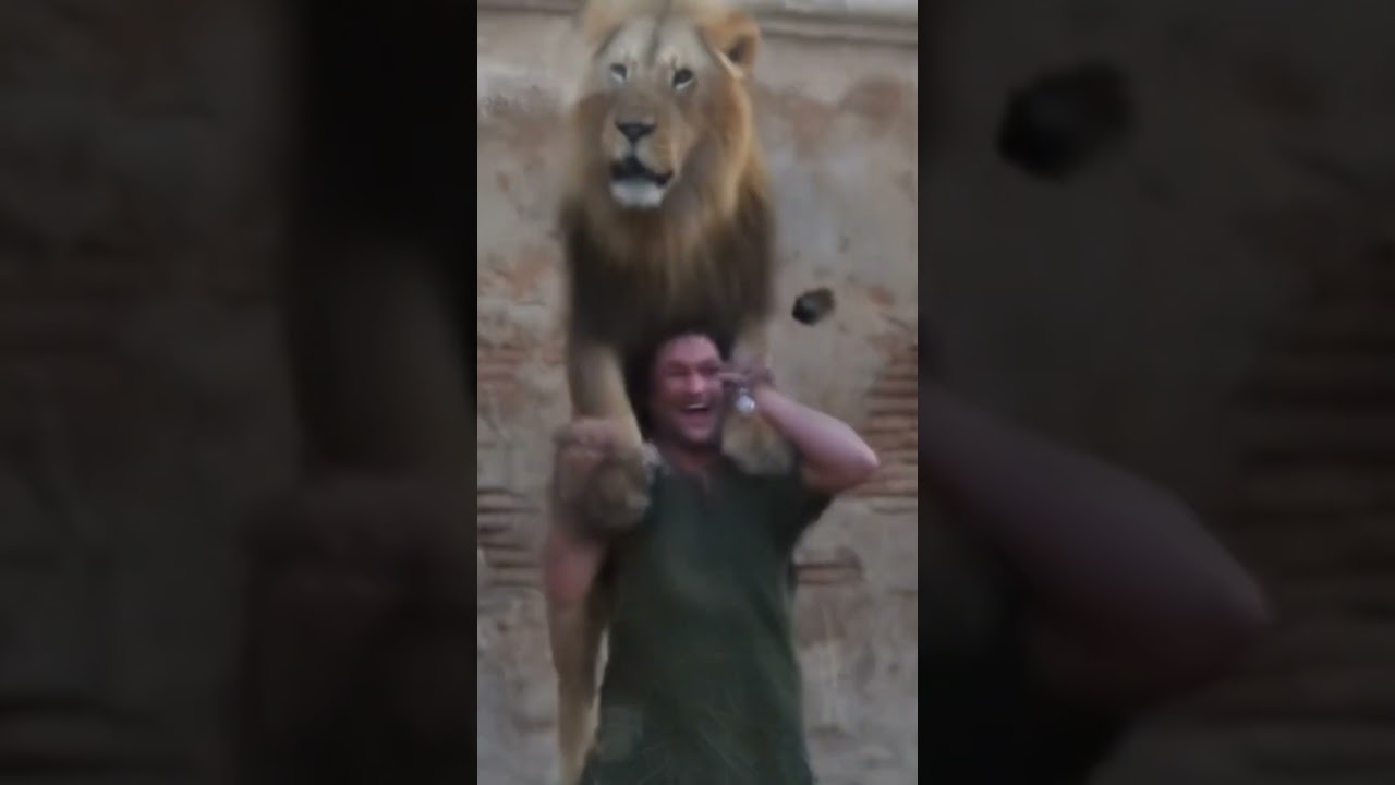 #lion #ai #video #reels #viral #video #subscribe