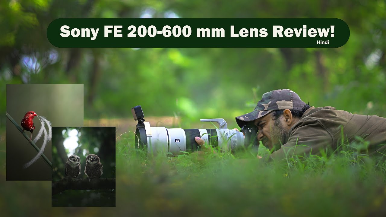 Sony 200-600mm lens Review , Sony 200-600mm lens Wildlife Photography , Sony Alpha 1 Review
