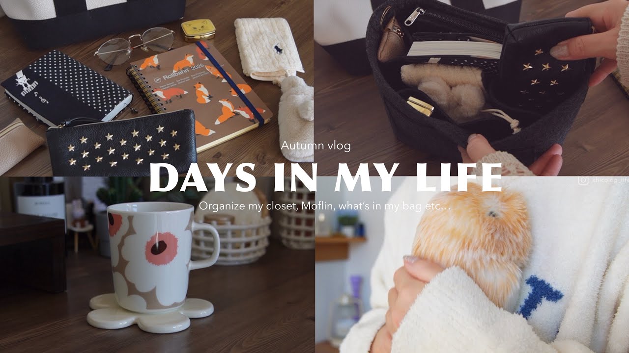 Идеальный зимний день для интроверта дома, что у меня в сумке 👜 Робот-питомец 🐤 и т.д...