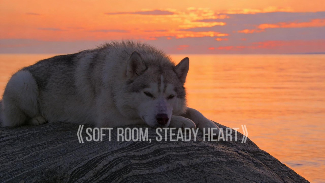 Soft Room, Steady Heart 🕯️ Gentle Humming Vocals for Sleep | Calm Presence, Adult Lullaby, Deep Rest