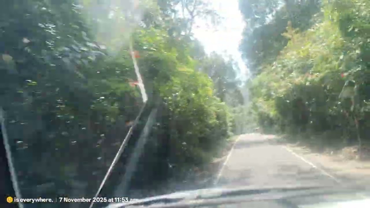 Thekkady kerala 2025- Videos