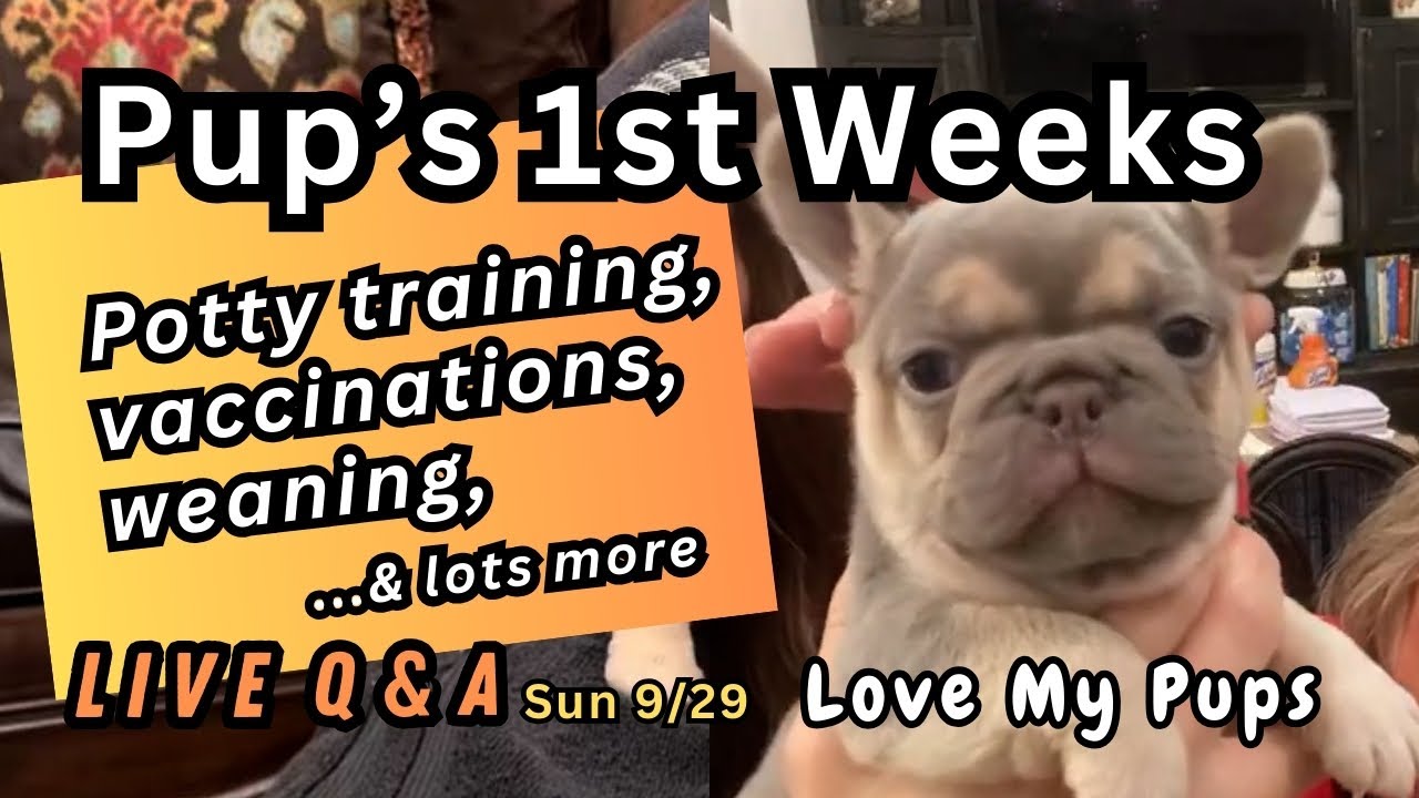 Love My Pups Live. Puppy care: newborn to 6 weeks