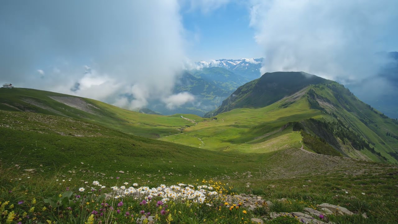 Snow Mountains, Fog, Alpine Landscape