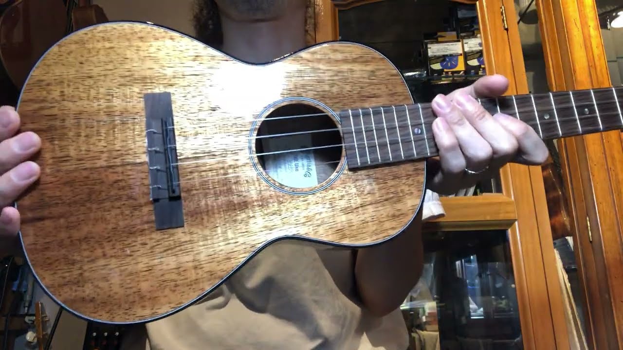 Martin テナーウクレレ TKE Uke 2024年最新モデル最速レビュー