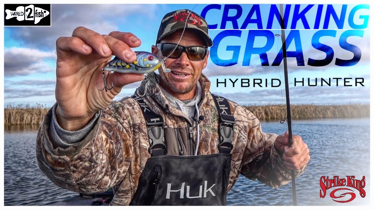 A Better Way to Fish Grass with the Strike King Hybrid Hunter