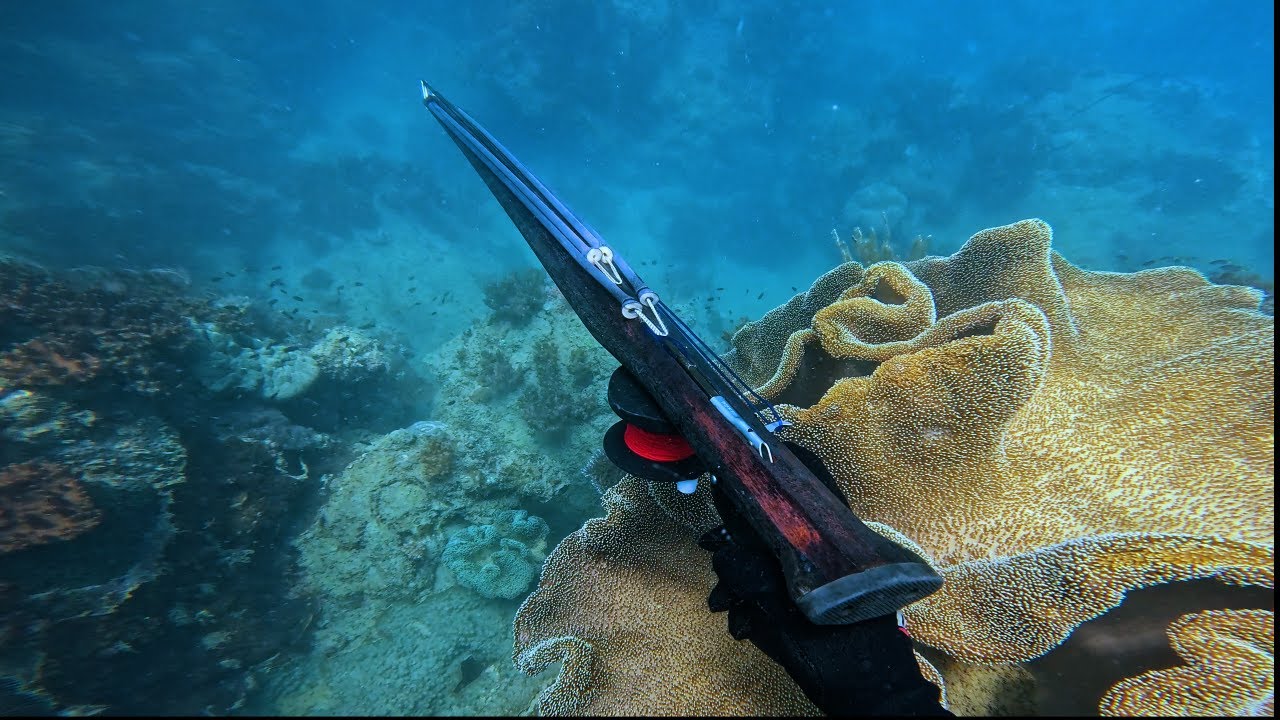 INSANE SPEARFISHING (Far North QLD) Episode 4, Diving Crocodile infested islands.