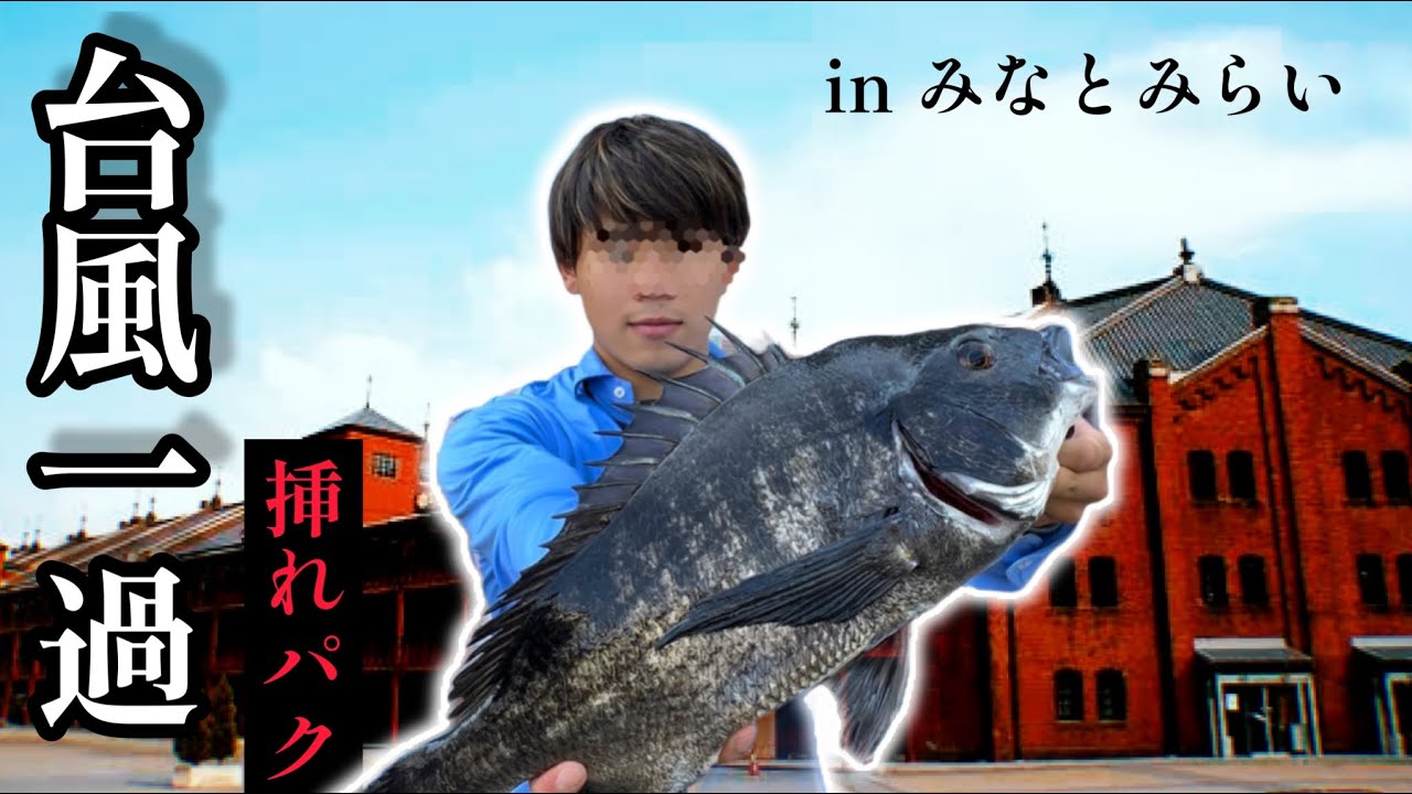 [釣り] 台風一過、そこは魚の楽園