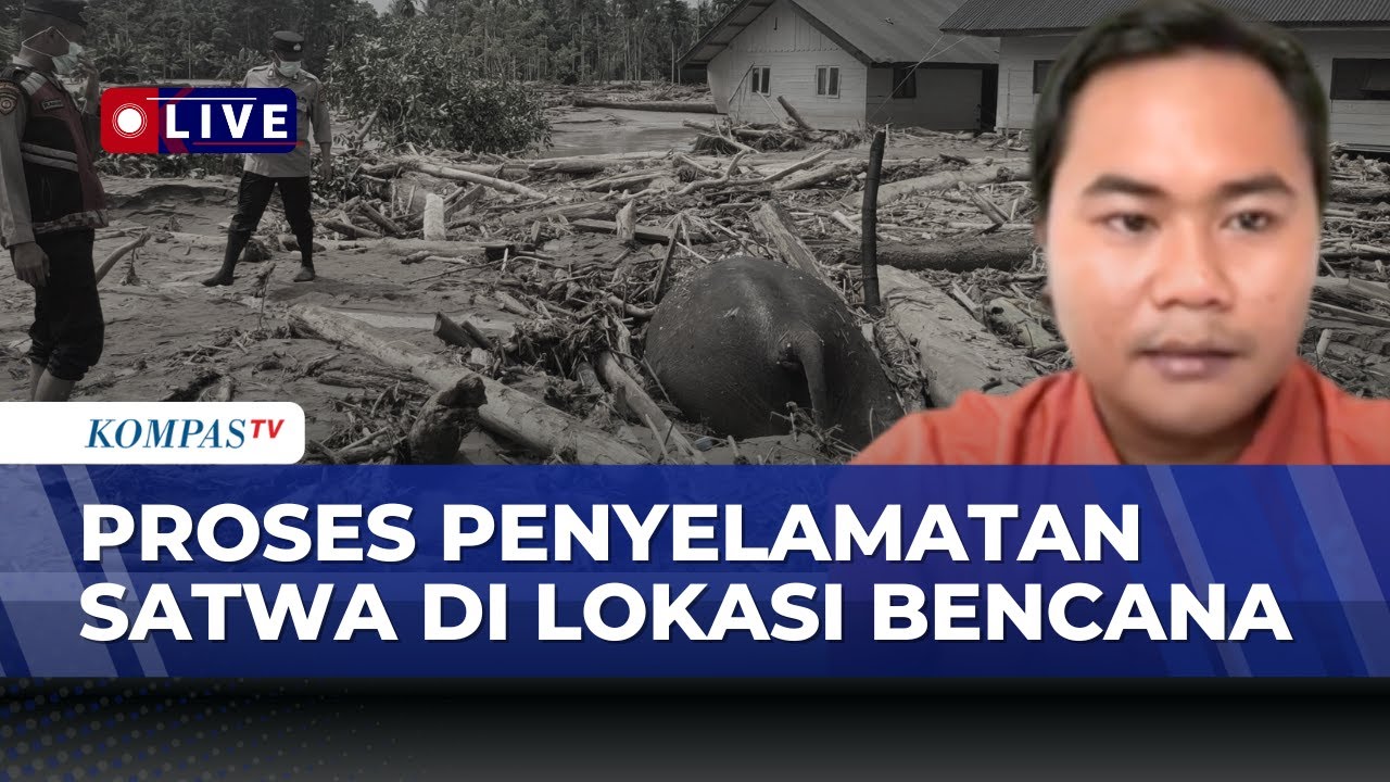 [FULL] Update Lokasi-Proses Penyelamatan Satwa Terdampak Banjir & Longsor Sumatera | BREAKING NEWS