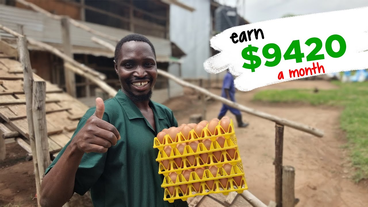 How to make $10,000 per month from a Chicken Farm