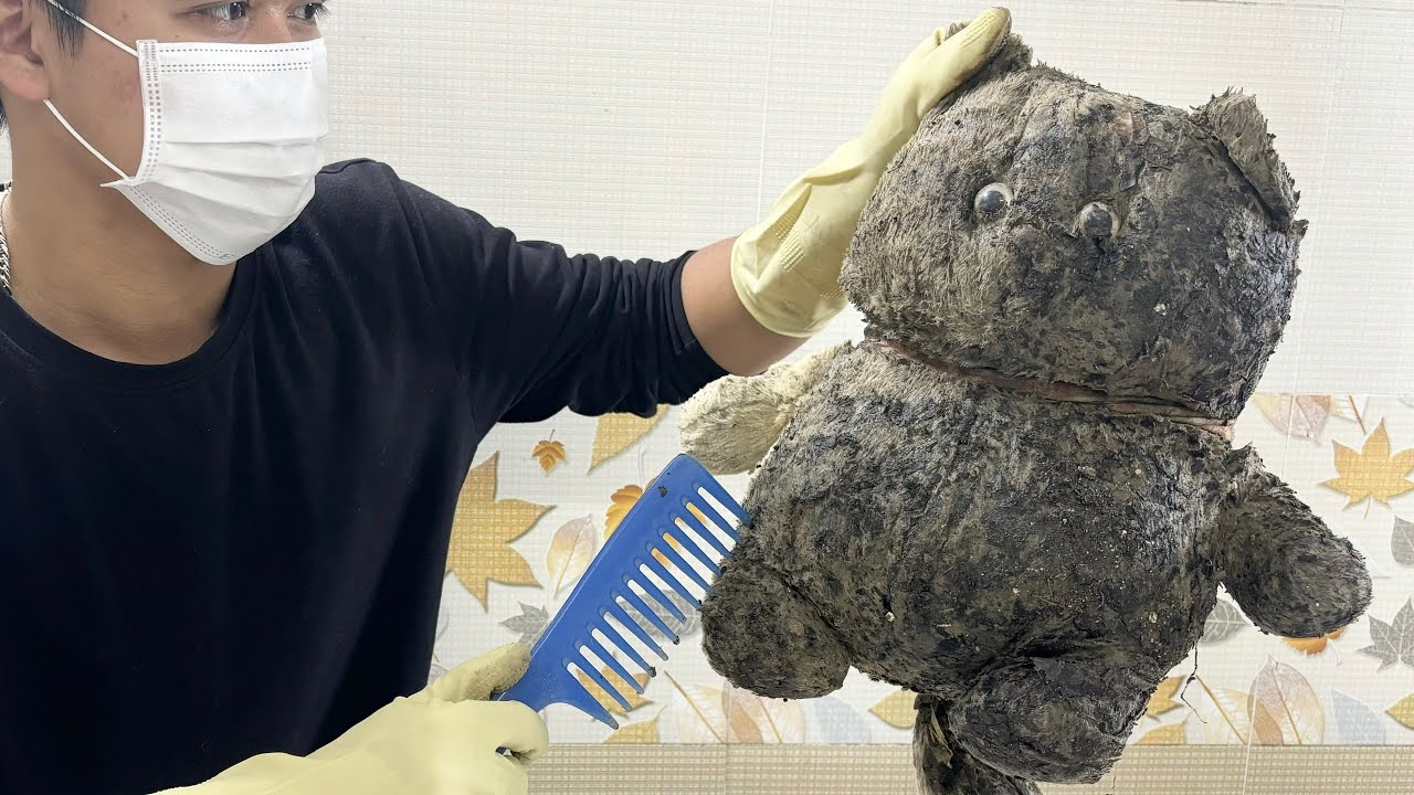 Rescuing an Abandoned Cat Teddy Bear: From Muddy to Perfectly Clean!