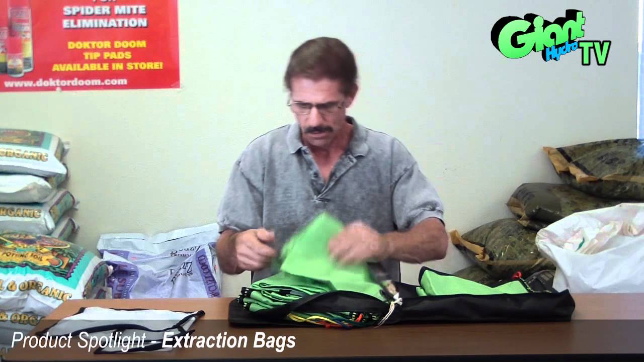 Extraction Bags