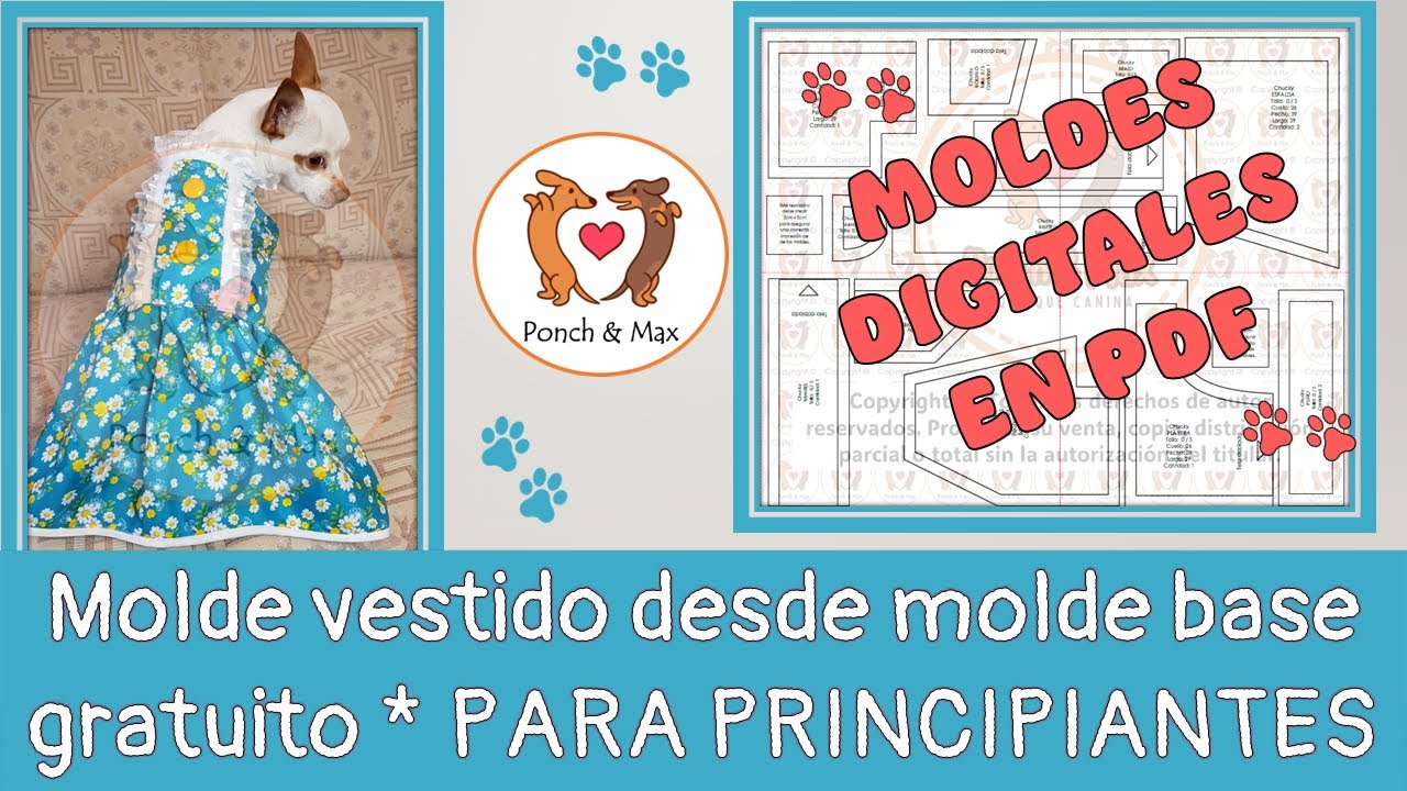 DIY 🐶 Elaboración de molde vestido desde molde base DESCARGABLE 📌 🥰 Ropa para perros y mascotas ❤❤❤