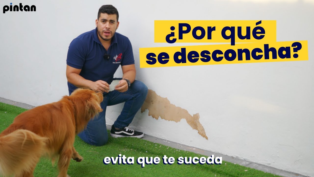 NO PINTES sin ver esto: Los 4 Errores m&aacute;s Comunes que Desconchan tu Pared