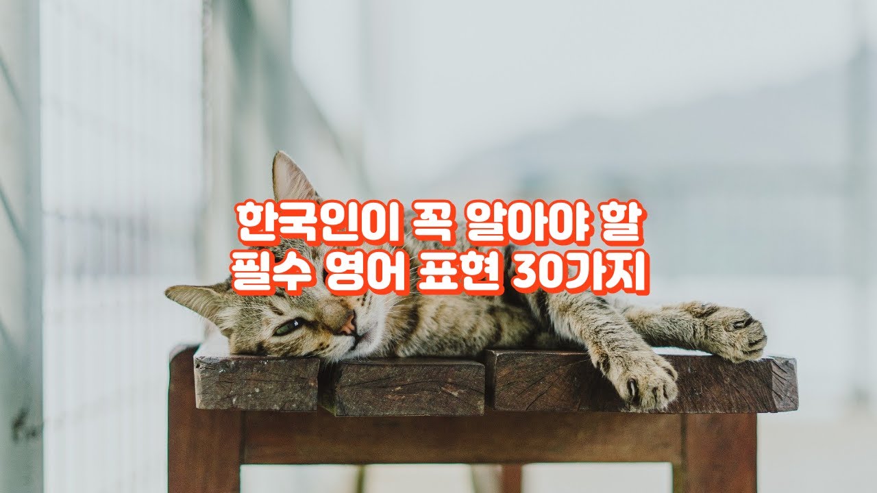 미국인이 제일 많이 쓰는 현지 영어 | 꼭 알아야 할 필수 영어 표현 30개