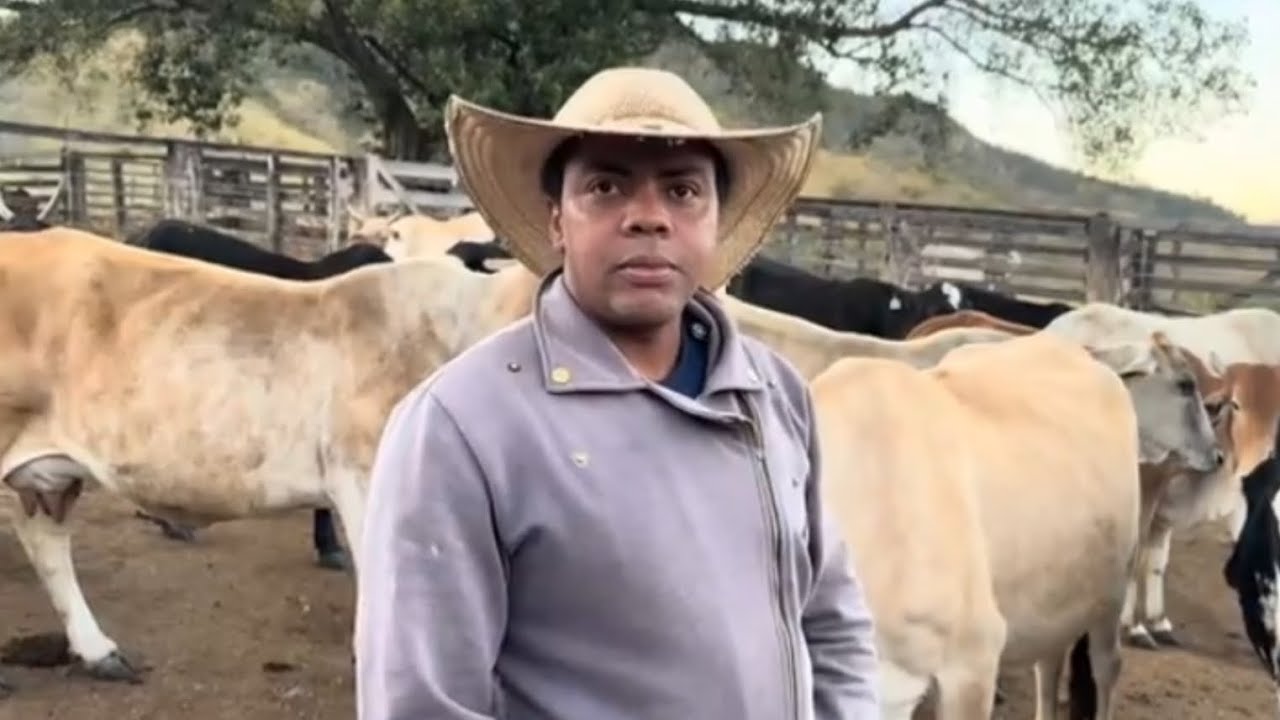 ELE VIVE A MODA ANTIGA NO MEIO DAS MONTANHAS DA CANASTRA E TIRA LEITE @Pedro_rodrigues_3