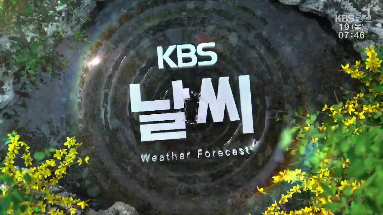 2026.3.19 KBS강원 뉴스광장