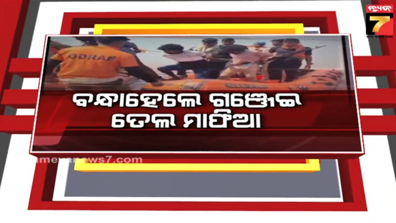 ନୀଳ ଜହରର ବିଶାଳ ନେଟୱାର୍କକୁ ଧ୍ବଂସ କଲା କୋରାପୁଟ ପୋଲିସ; ବନ୍ଧା ହେଲେ ଗଞ୍ଜେଇ ତେଲ ମାଫିଆ | Koraput News