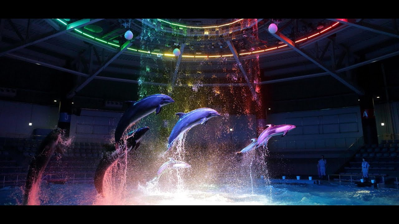 CONHEÇA O AQUÁRIO AQUA PARK de TOKYO SHINAGAWA