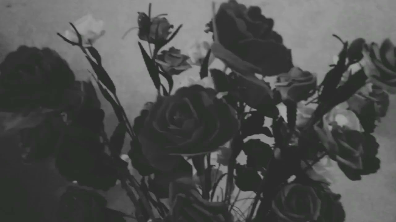 MEKHAREST - ENTY KHSRTENY | ميخاريست - انتي خسرتيني
