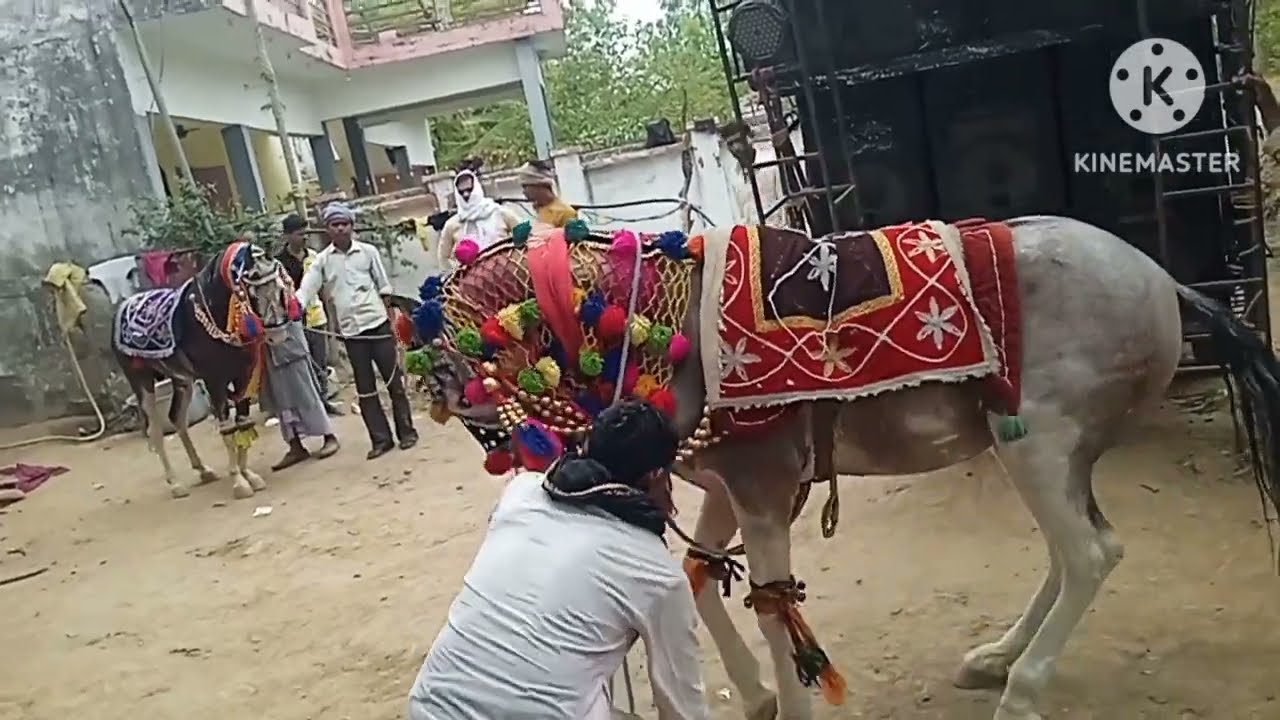ghoda dance d j घोड़ा डांस डी जे l यूपी चित्रकूट का घोड़ा डांस l Shyam raj official