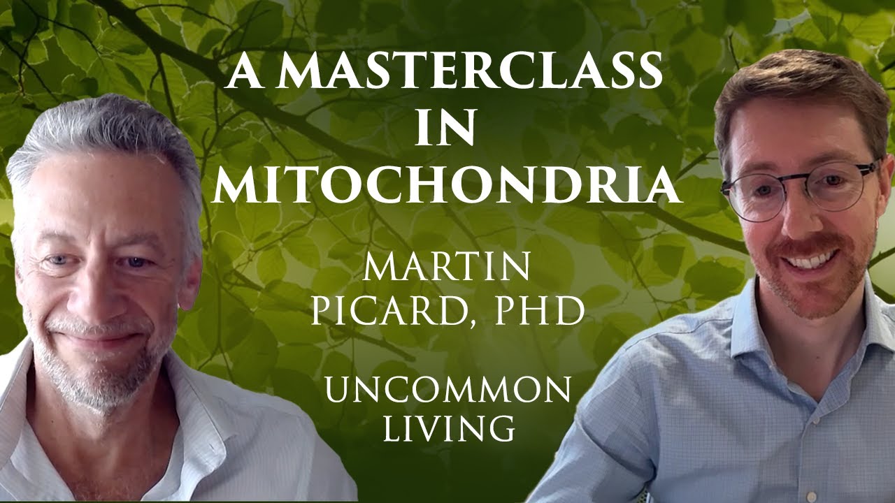 A Masterclass in Mitochondria | Martin Picard, PhD | Uncommon Living 17