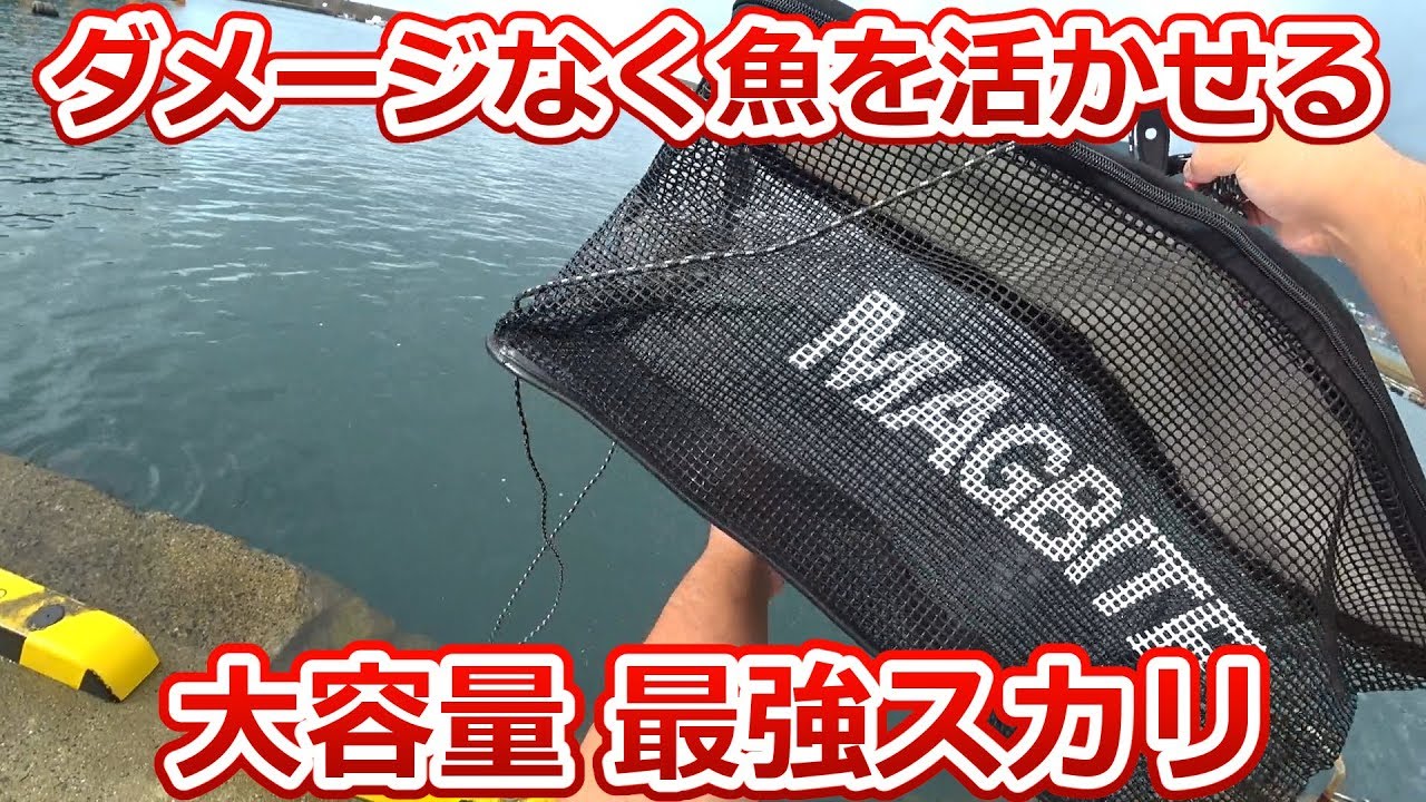 デカい！丈夫！でもコンパクトに持ち運べる！新世代の根魚用スカリをご紹介！！