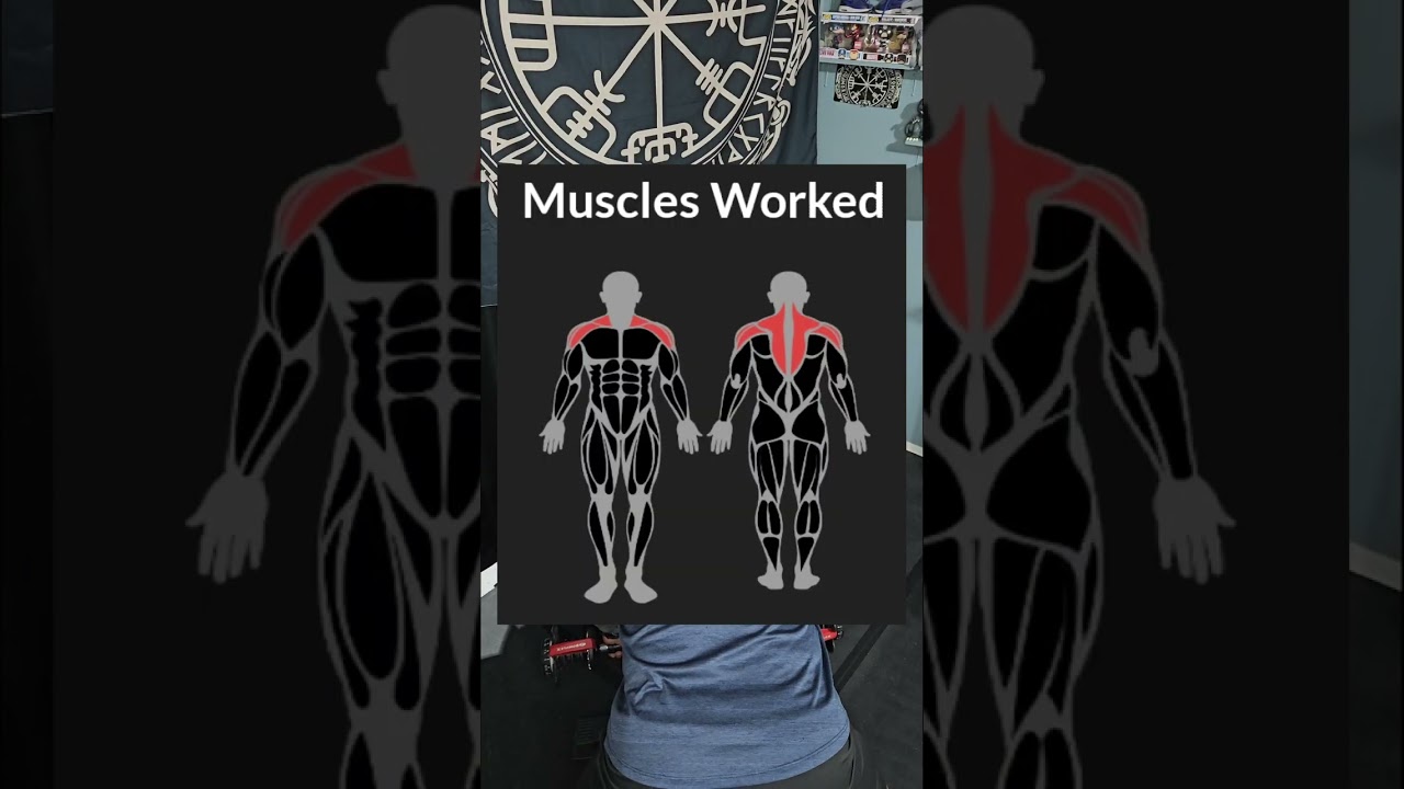 2.3.26 Week 4 Day 2, Pull, Deload Week