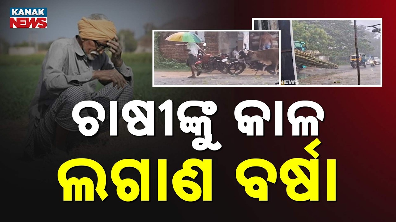 Puri Rain Impact | Floodwater Damages Hundreds of Acres of Farmland
