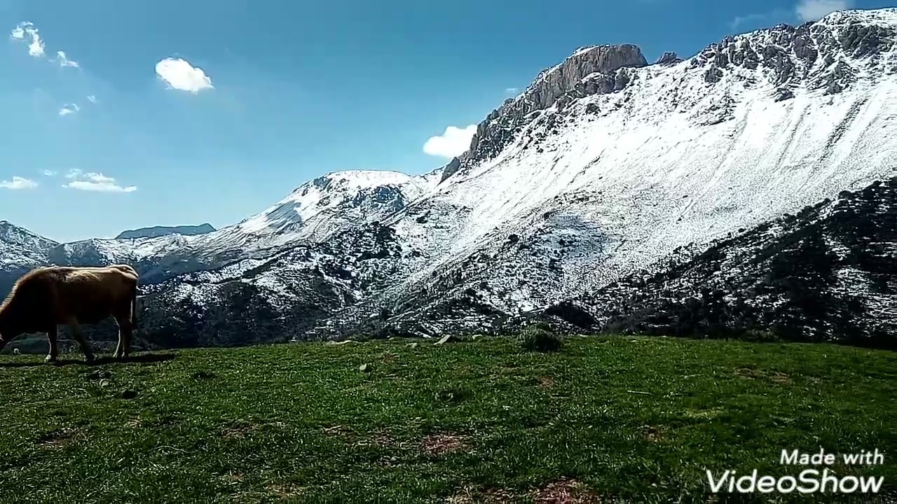 Agouni N'Bouzid. Tizi N'Kouilal.