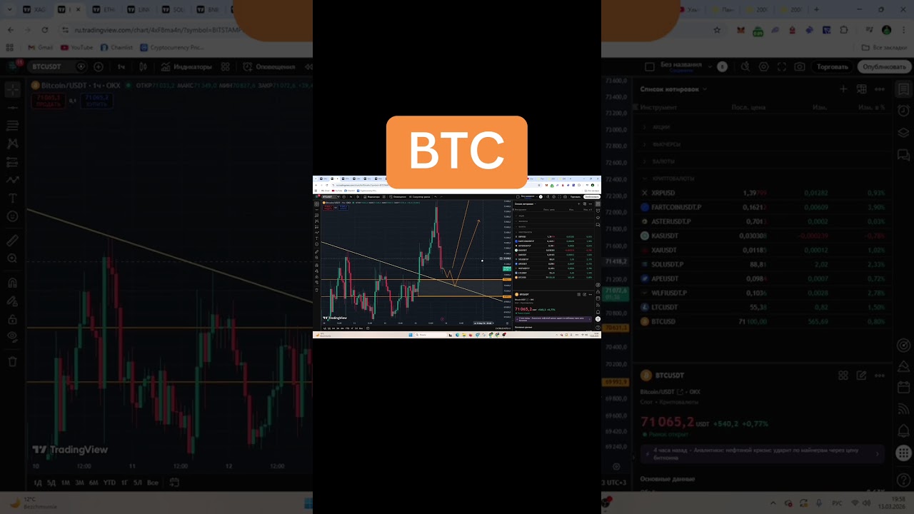 Обзор по битку