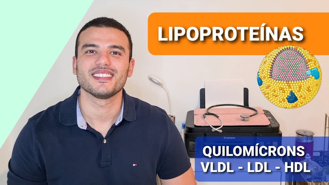 Lipoproteínas de Transporte: Revelando os Segredos do Sistema de Transporte Lipídico (1/2)