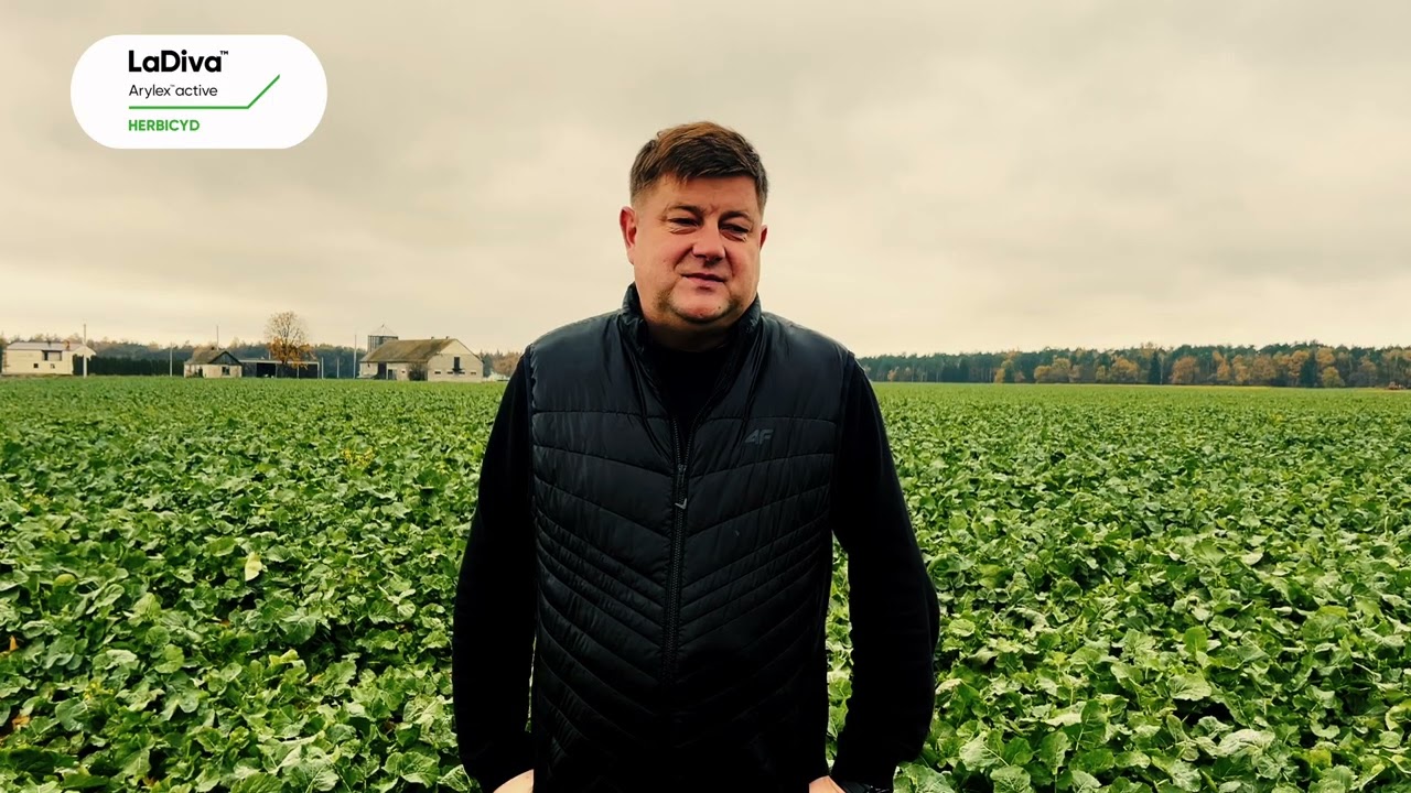 Sprawdz dlaczego warto postawić na NOWY herbicyd do odchwaszczania jesiennego rzepaku- LA DIVA!