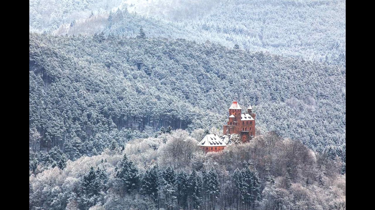 Pfälzerwald im Winter