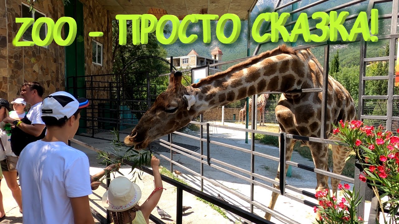 Крым глазами северян. Ялта.  Крым 2021.  Зоопарк Сказка. Zoo 