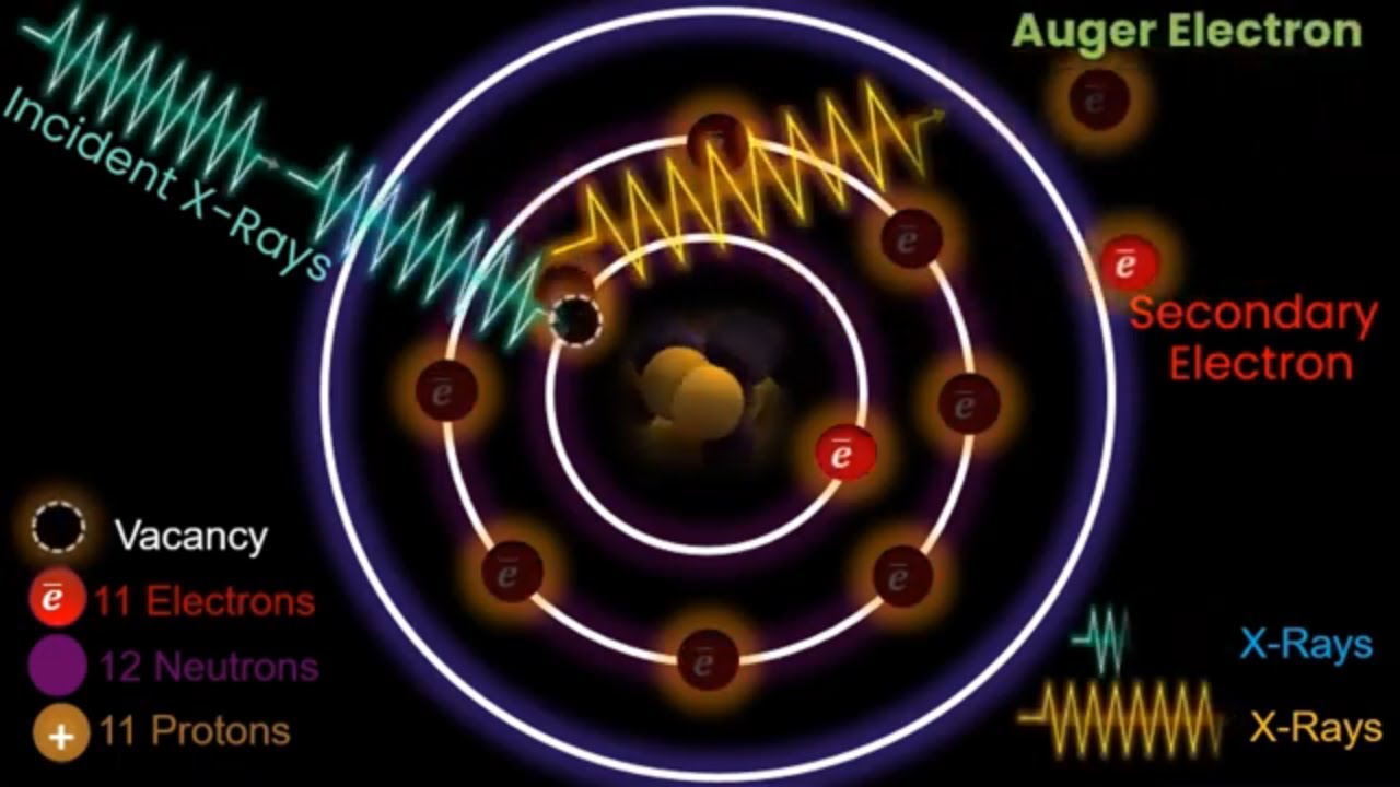 Auger Electron l How Auger Electrons are produced from an Atom l Animation